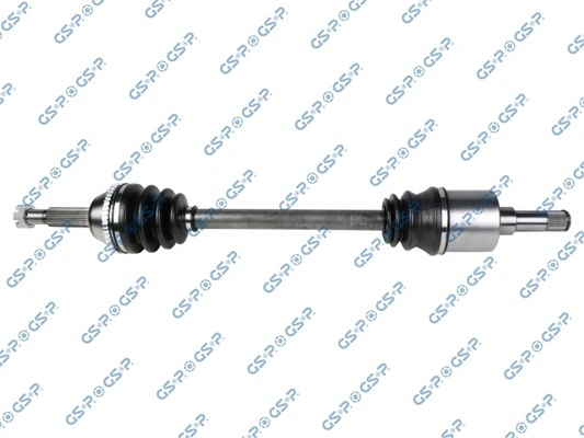 GSP 299179