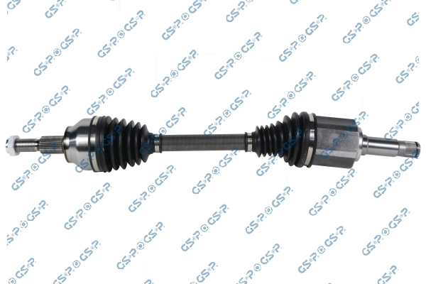 GSP 203951