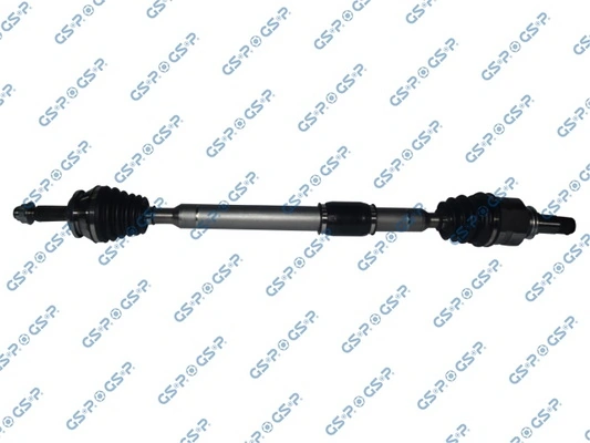 GSP 259378