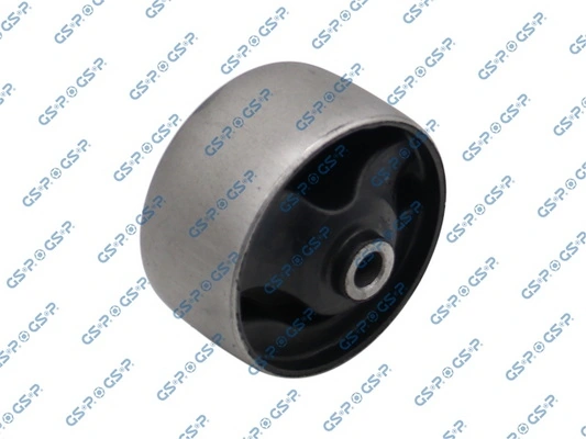 GSP 516681