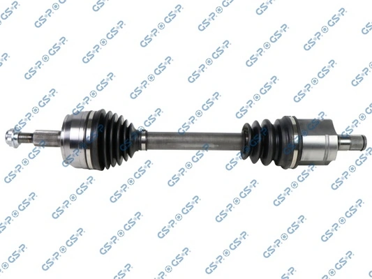 GSP 203293