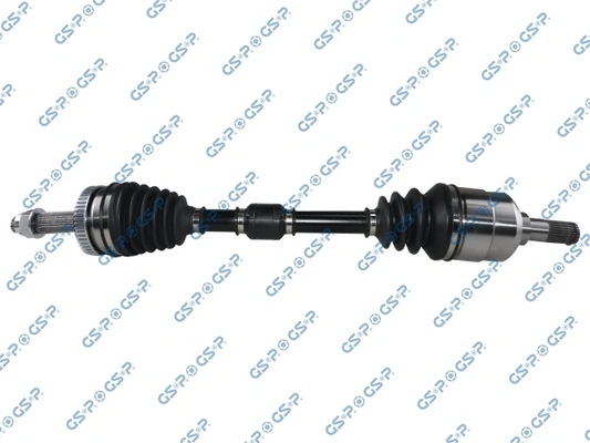 GSP 224172