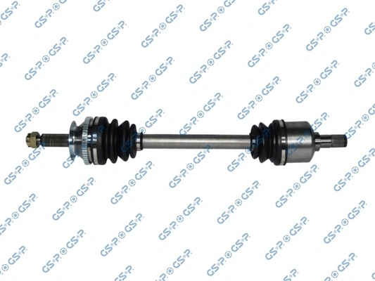 GSP 224358