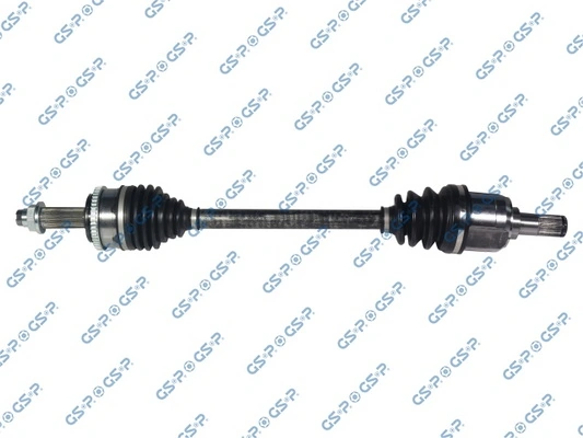 GSP 224248