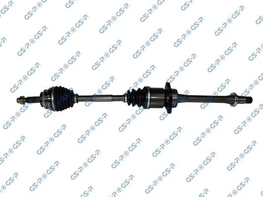 GSP 259064