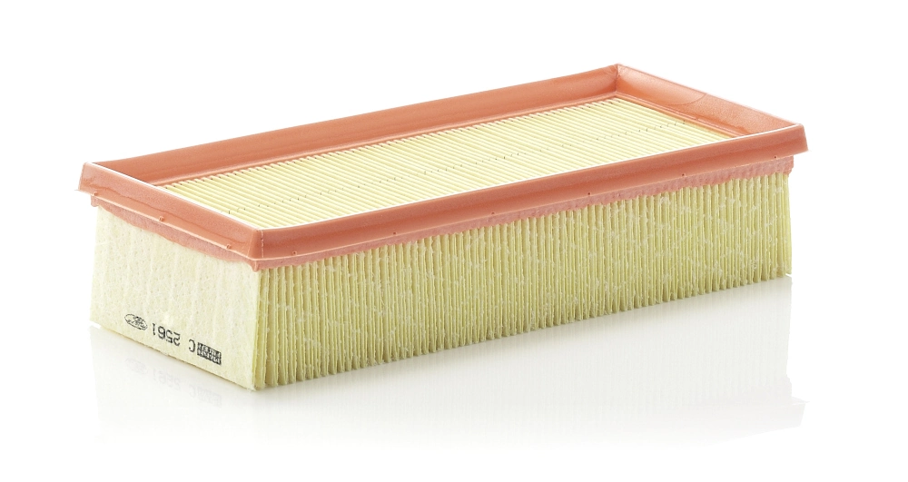 MANN FILTER C2561