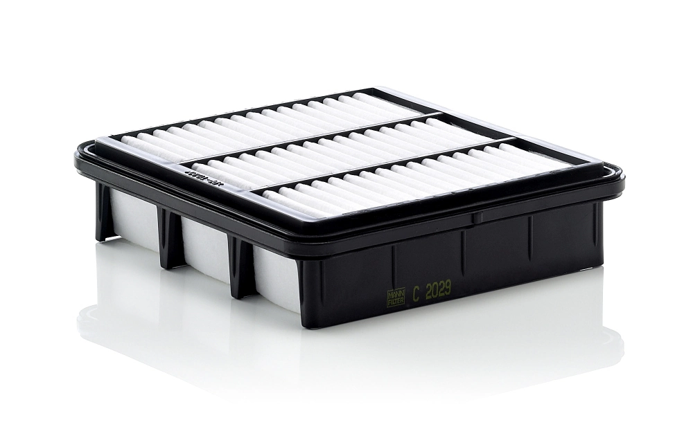 MANN FILTER C2029