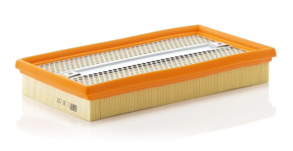 MANN FILTER C33125