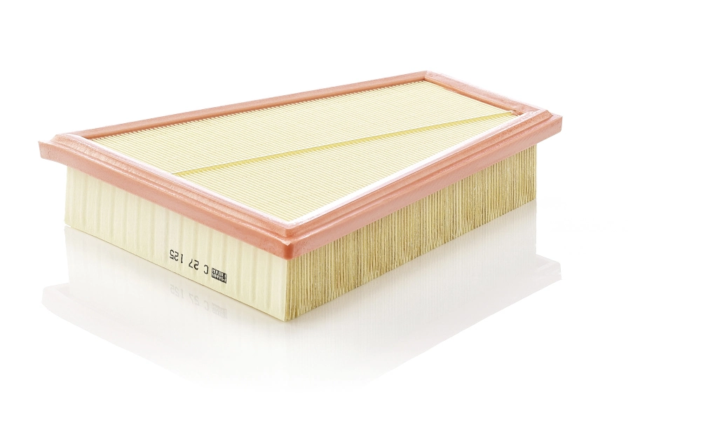 MANN FILTER C27125