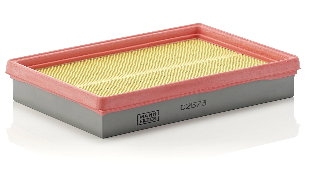MANN FILTER C2573