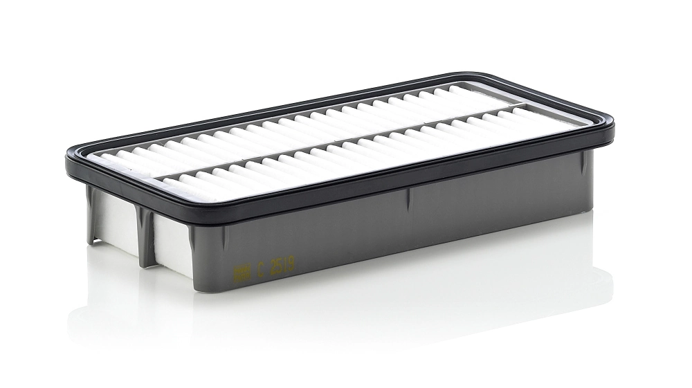 MANN FILTER C2519