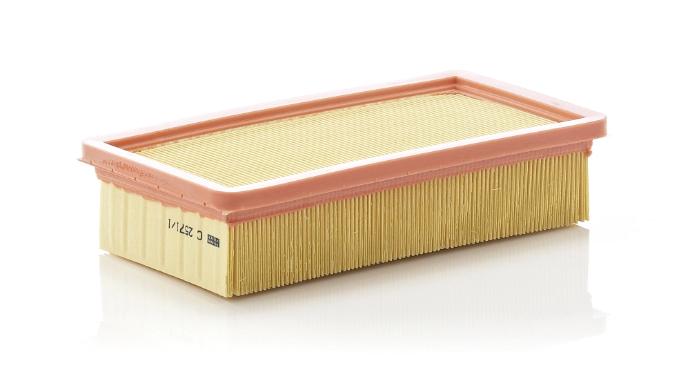 MANN FILTER C25711