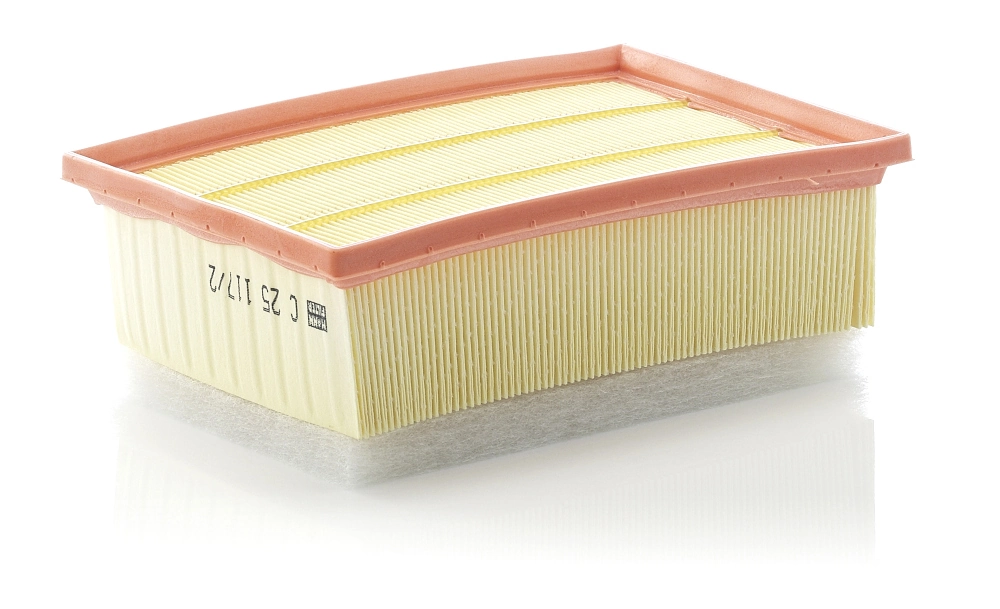 MANN FILTER C251172