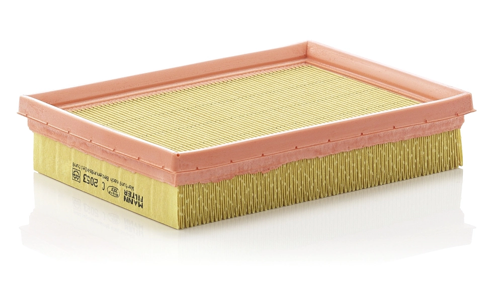 MANN FILTER C2053