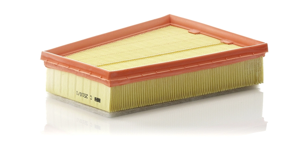 MANN FILTER C25101