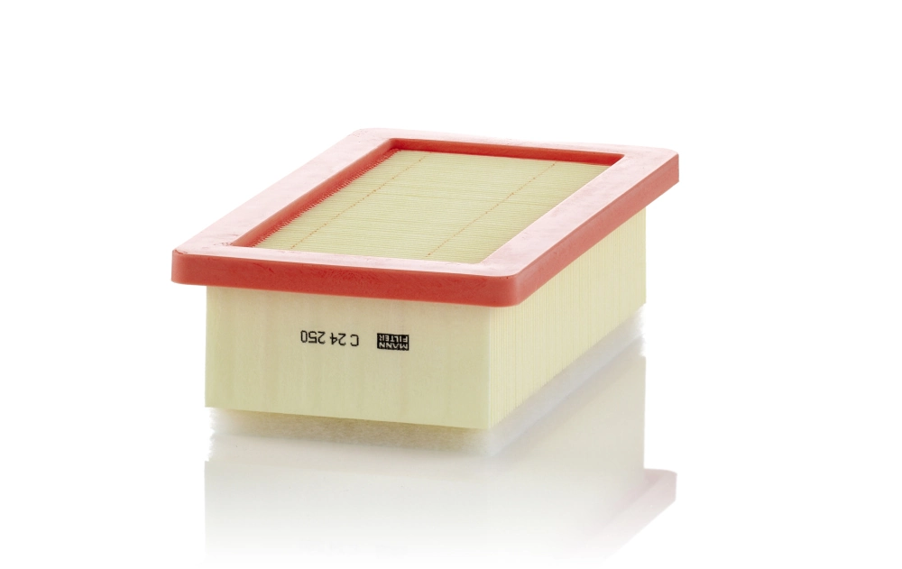 MANN FILTER C24250