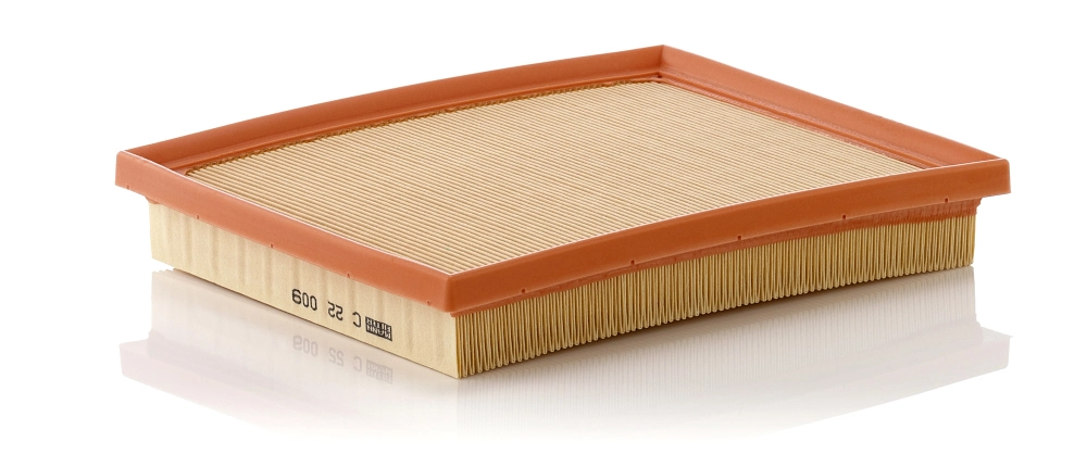 MANN FILTER C22009