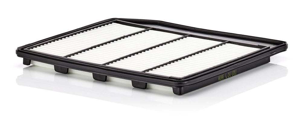 MANN FILTER C30080