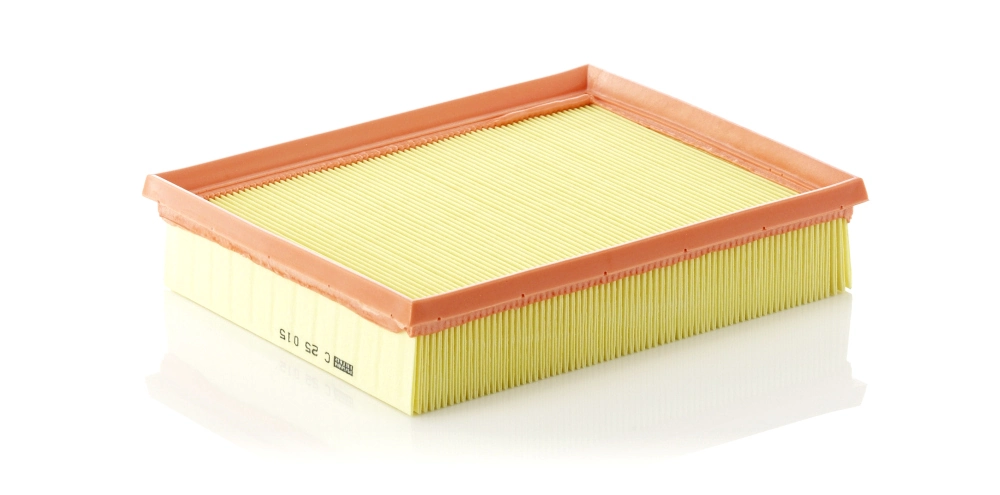 MANN FILTER C25015
