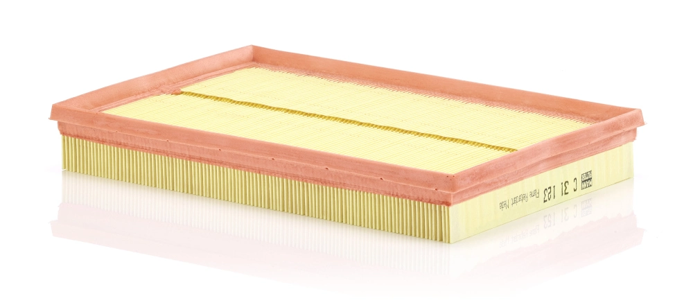 MANN FILTER C31123