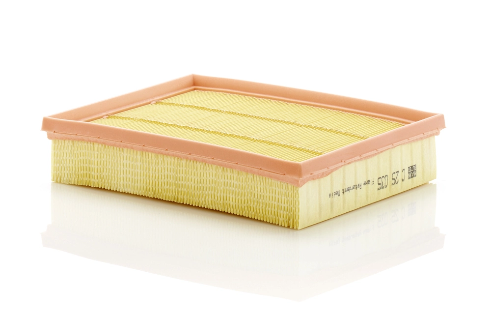 MANN FILTER C25035