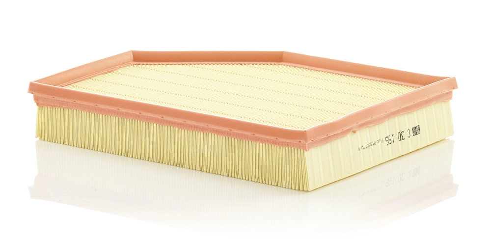 MANN FILTER C30196