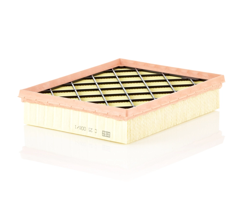 MANN FILTER C250081