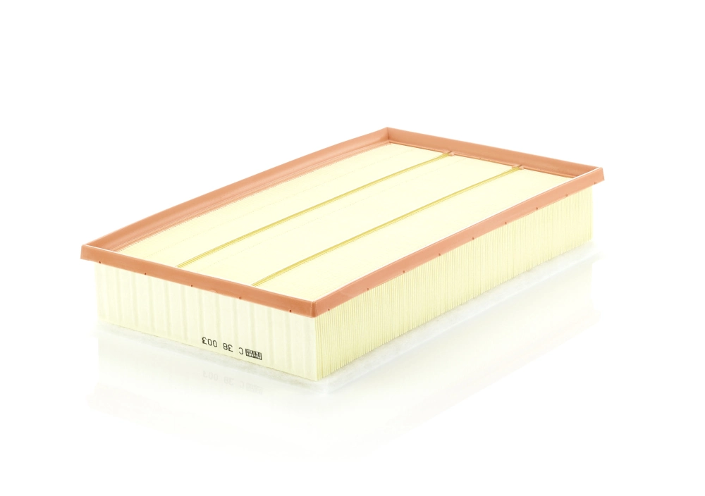 MANN FILTER C38003