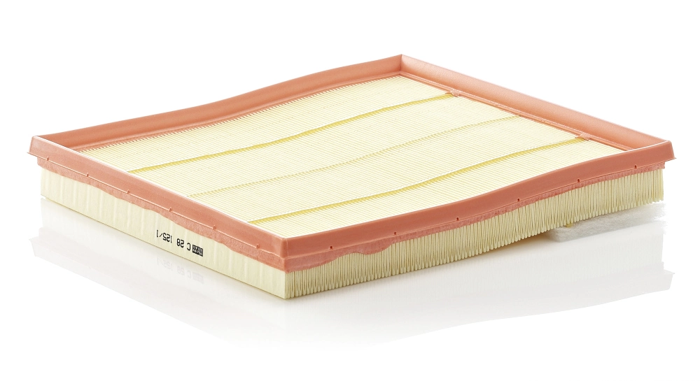 MANN FILTER C281251