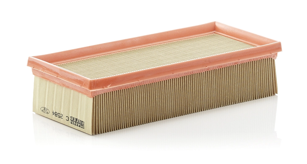 MANN FILTER C2584