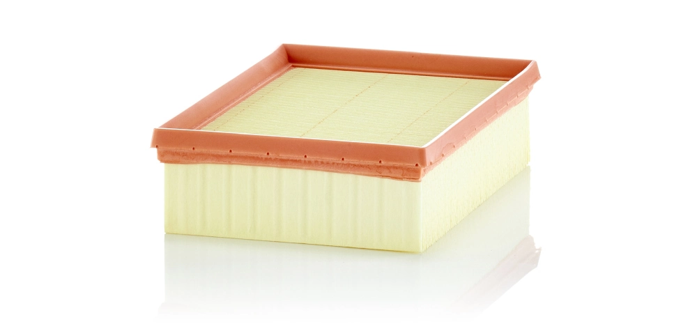 MANN FILTER C240121