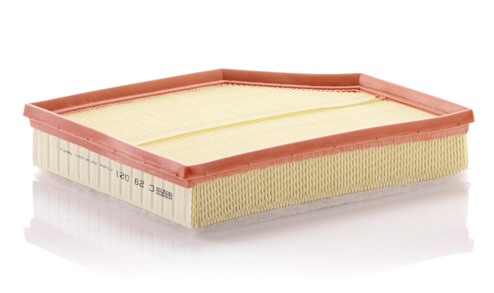 MANN FILTER C29021