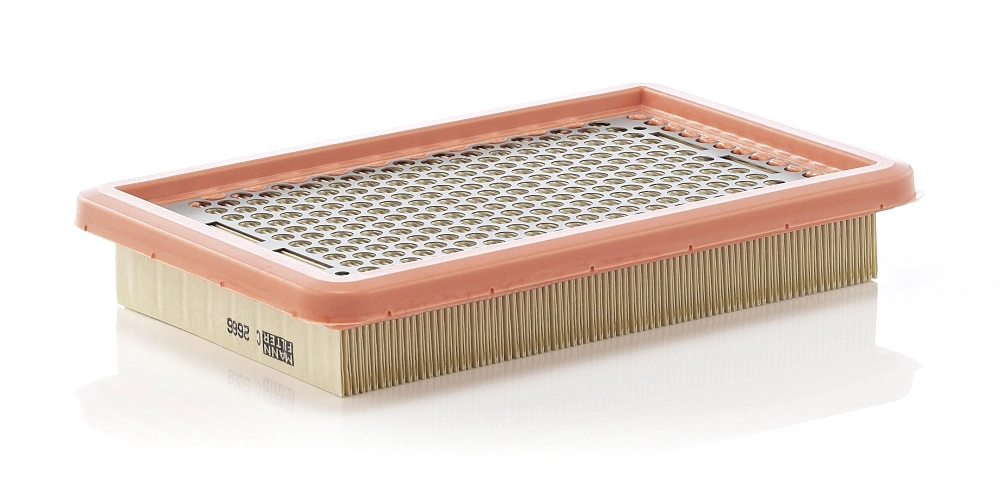 MANN FILTER C2666