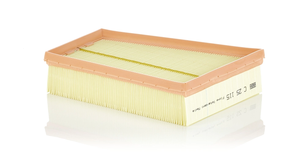 MANN FILTER C25115