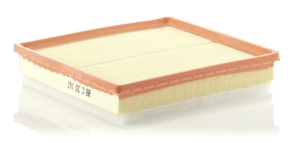 MANN FILTER C30163