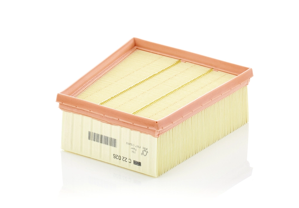 MANN FILTER C22026