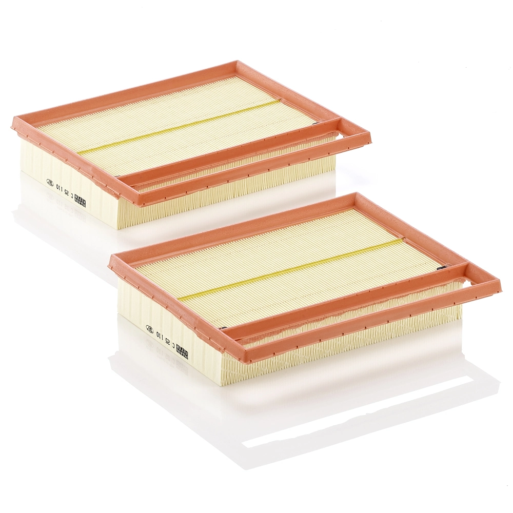 MANN FILTER C251102