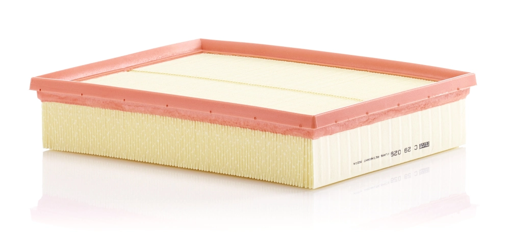 MANN FILTER C29029