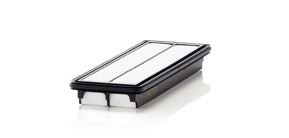 MANN FILTER C36020