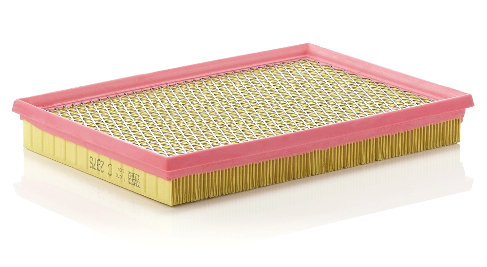 MANN FILTER C2975