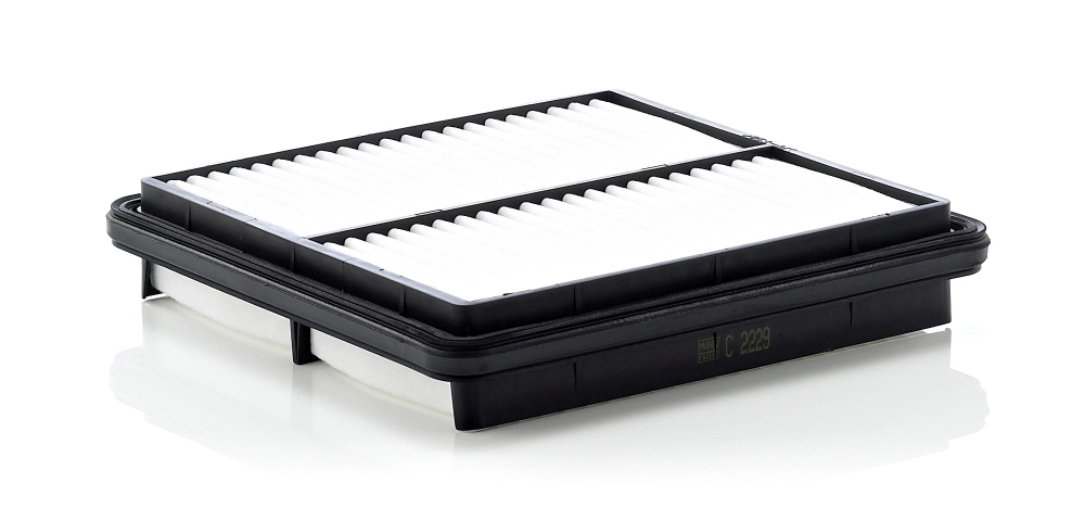 MANN FILTER C2229