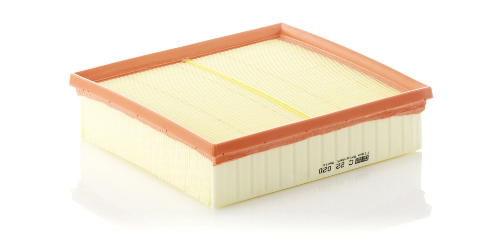 MANN FILTER C22020