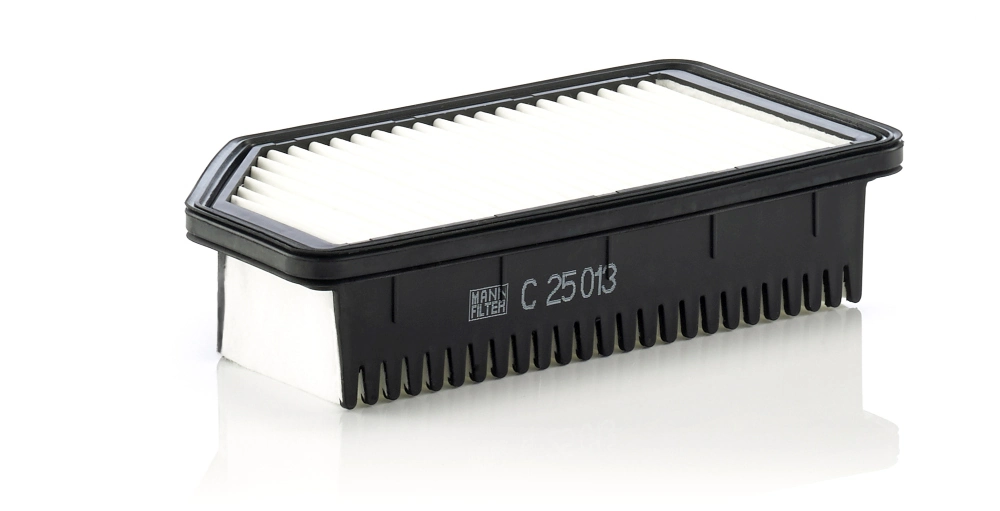 MANN FILTER C25013