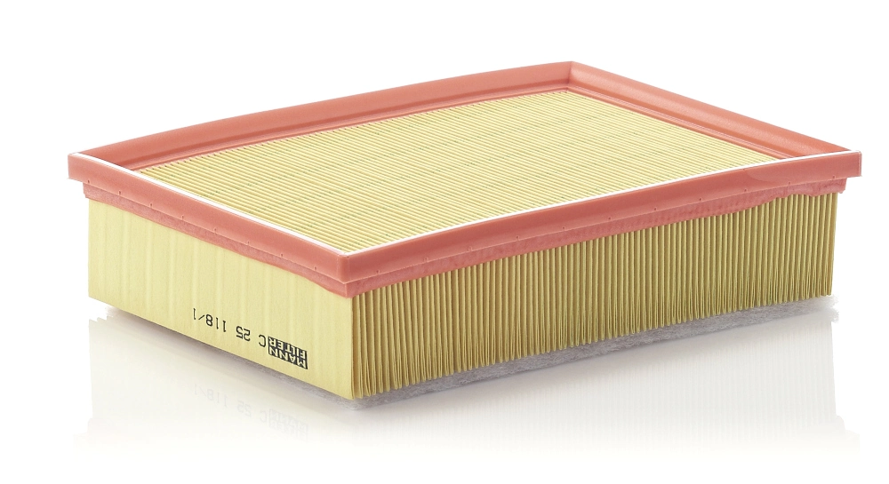 MANN FILTER C251181