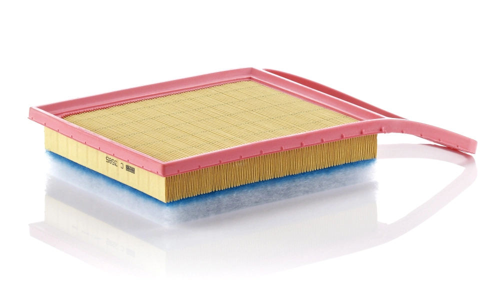MANN FILTER C3585