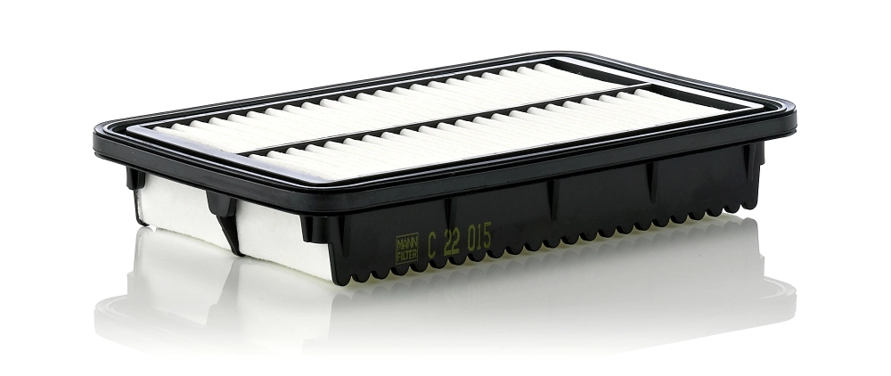 MANN FILTER C22015
