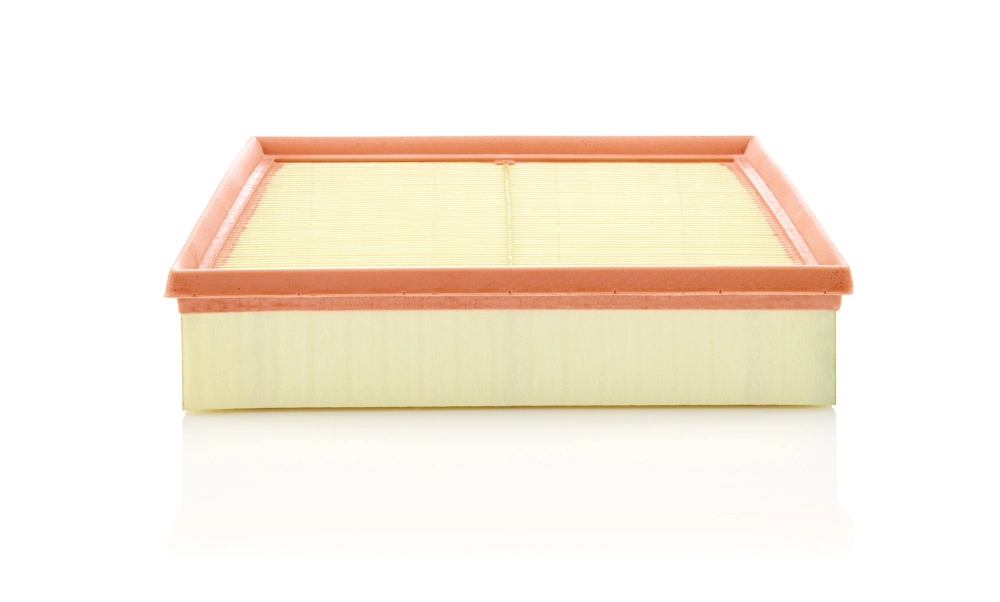 MANN FILTER C28022
