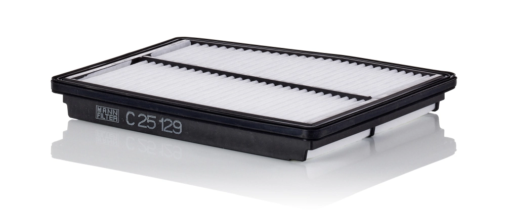 MANN FILTER C25129