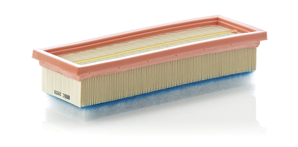 MANN FILTER C2859