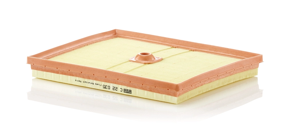MANN FILTER C22035